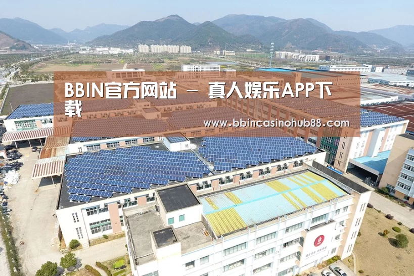 案例展示四