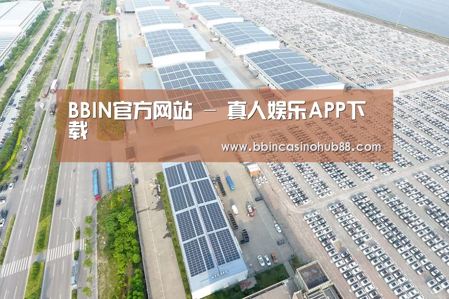 案例展示四