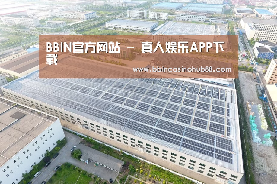 案例展示四
