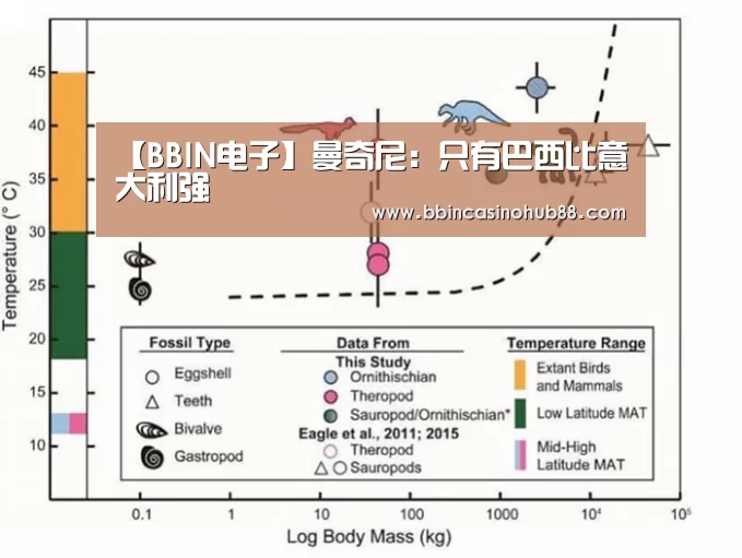 【BBIN电子】曼奇尼:只有巴西比意大利强(图3) BBIN直播