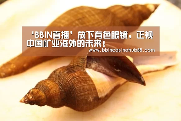 BBIN直播