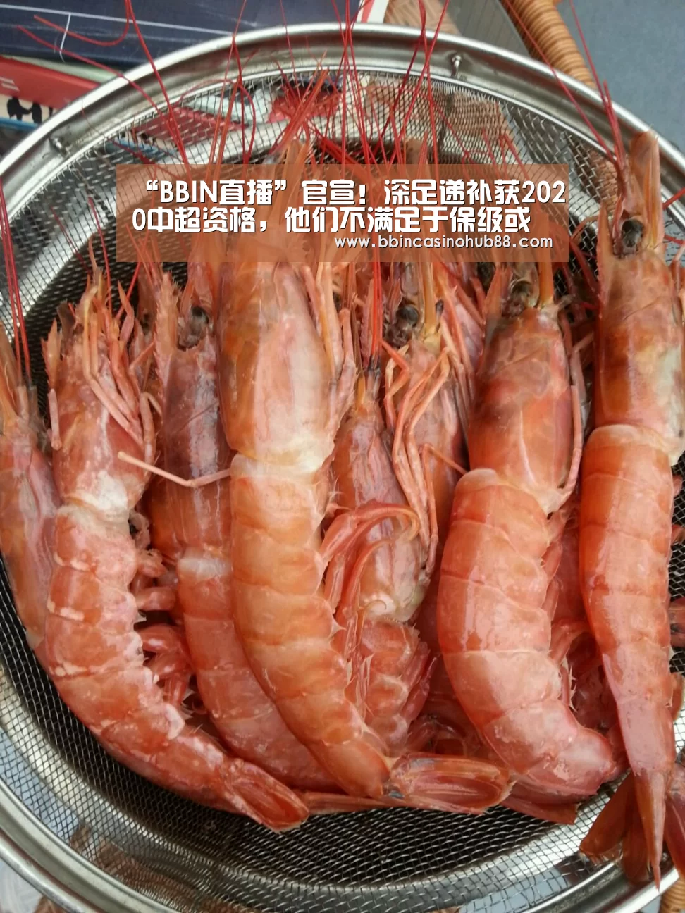 “BBIN直播”官宣！深足递补获2020