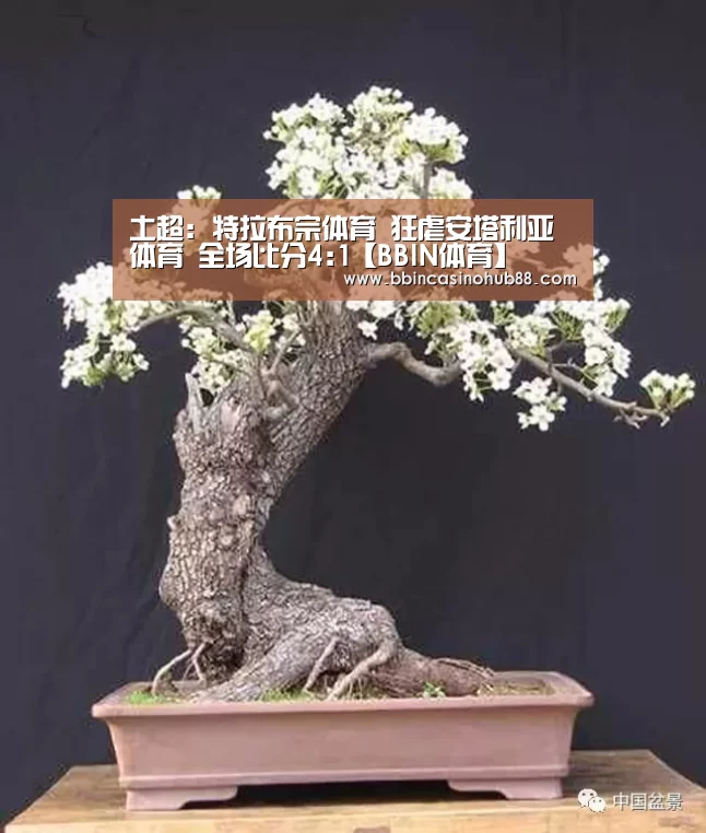 BBIN电子