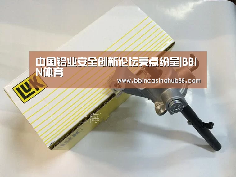 中国铝业安全创新论坛亮点纷呈|BBIN体育(图3) BBIN体育