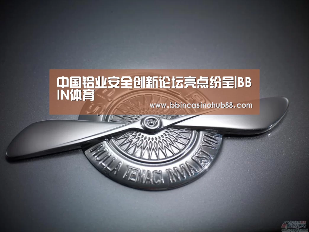 中国铝业安全创新论坛亮点纷呈|BBIN体育(图4) BBIN电子